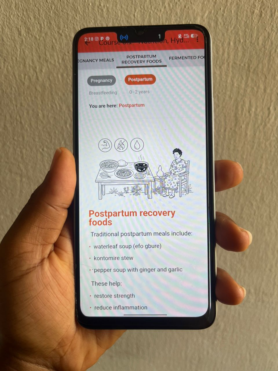 Program mobile interface – Postpartum recovery foods